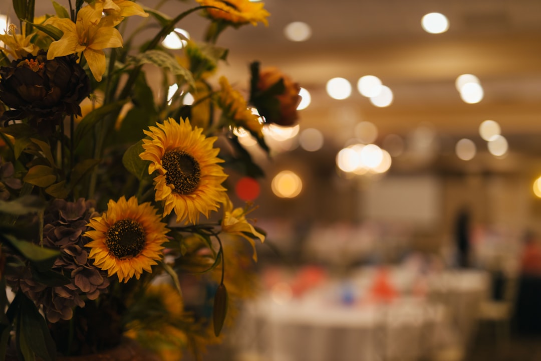 eventsqubee-com_9386b